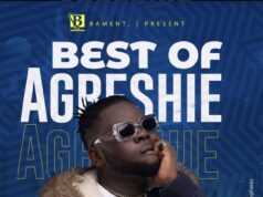 DJ Stephen - Best of Agbeshie