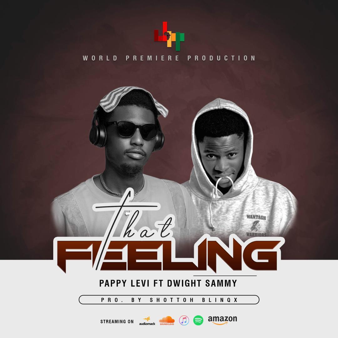 Pappy Levi ft Dwight Sammy - That Feeling