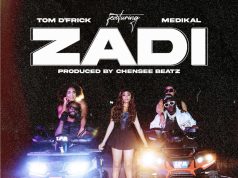 Tom D'frick ft Medikal - Zadi