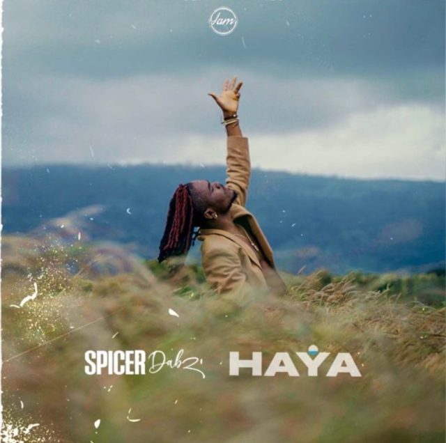 Spicer Dabz - Haya