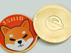 Will the Shiba Inu coin reach $10