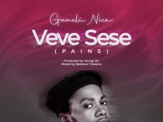 Gameli Nice - Veve Sese (Mixed by Bakdoor Classics)