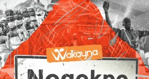 Wakayna steps in again with new song “Nogokpo” – LISTEN